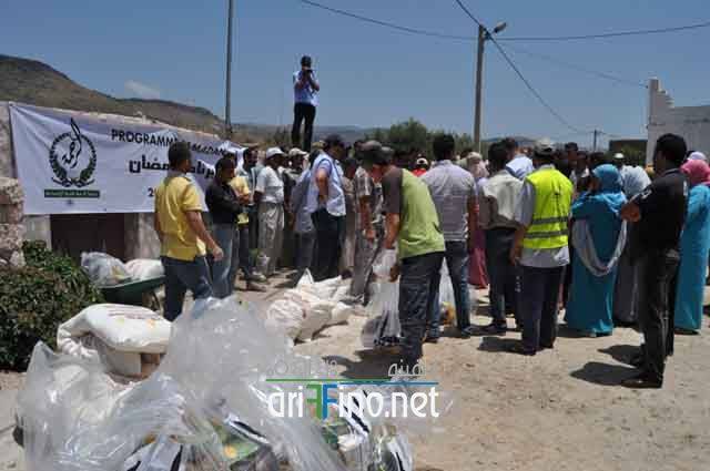 nador768