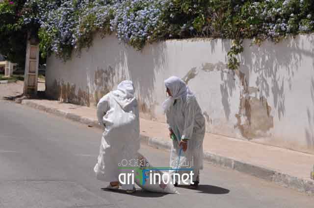 nador787
