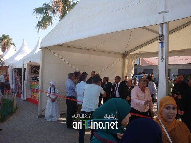 nador808