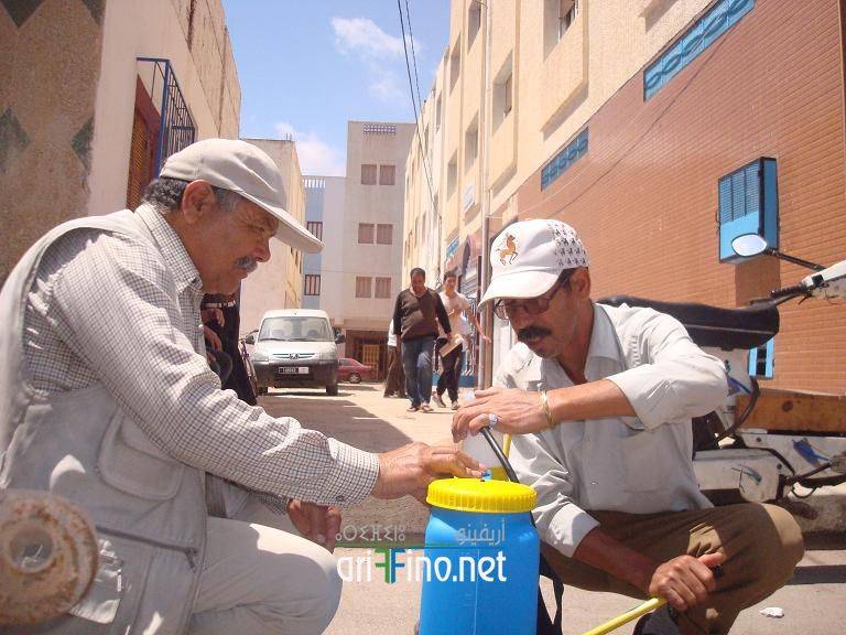 nador924