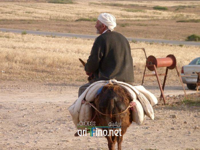 nador996