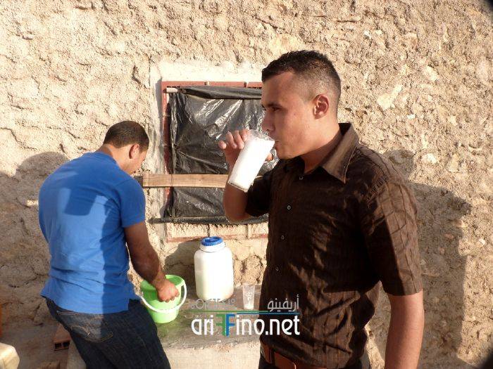 nador997
