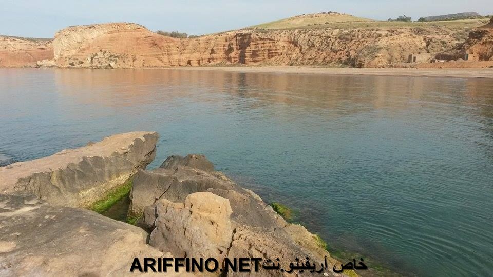 nador009