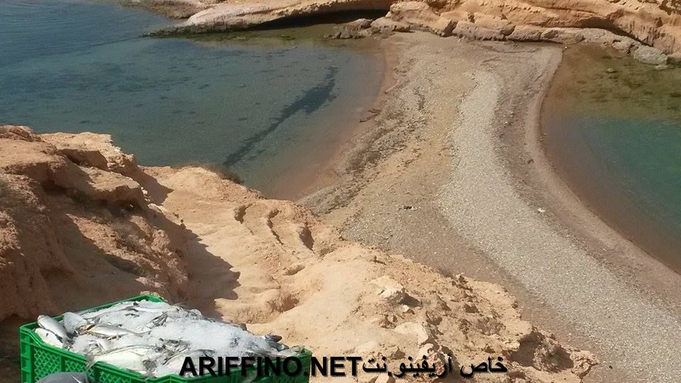 nador015