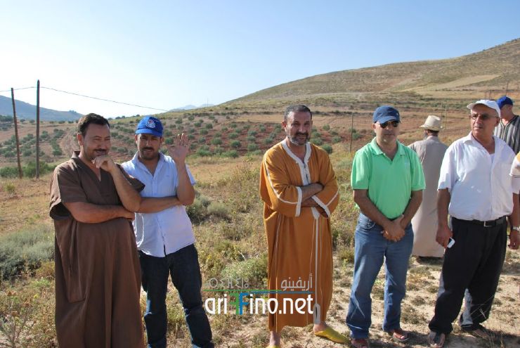 nador016