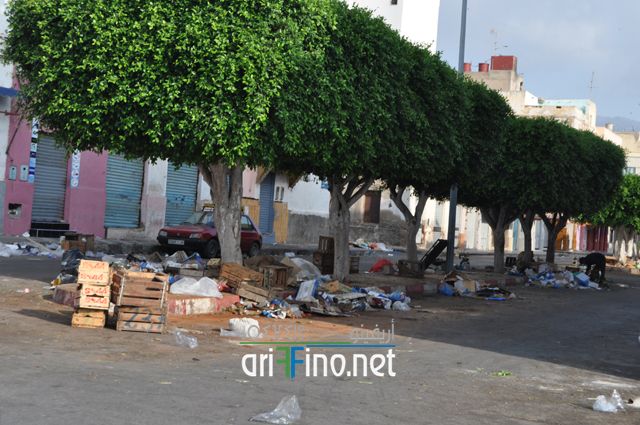 nador031