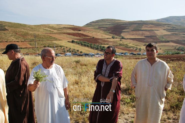 nador034