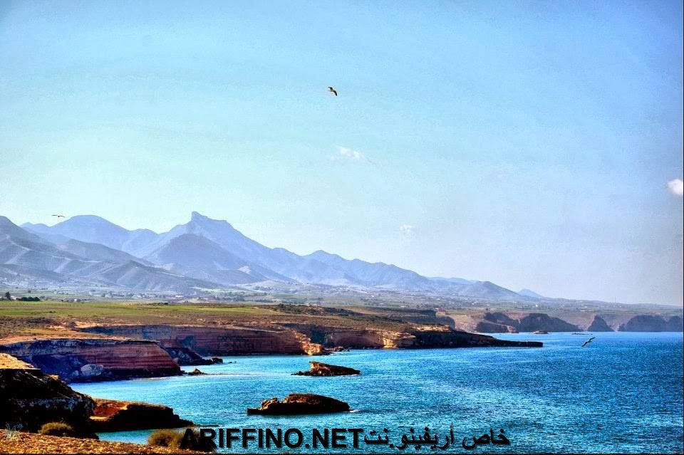 nador036