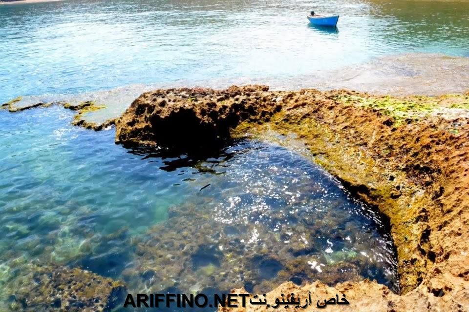 nador037