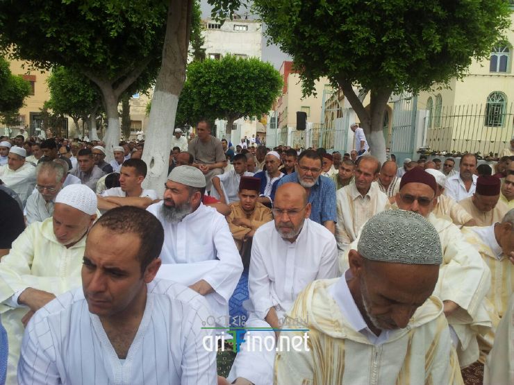nador049