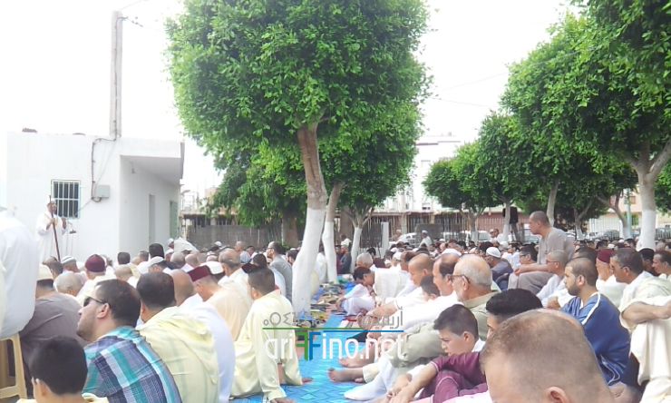 nador051