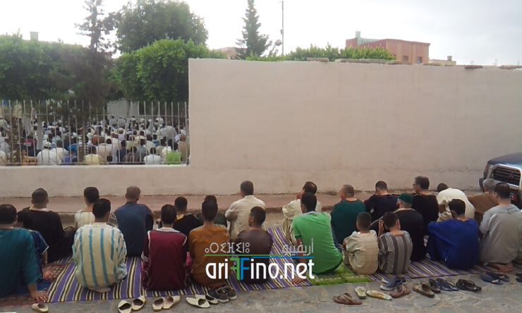 nador054