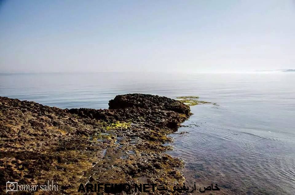 nador059