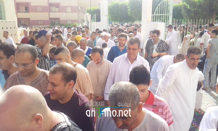 nador080