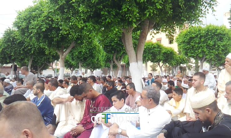 nador087
