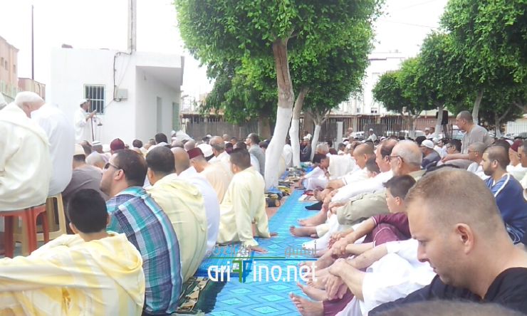 nador099