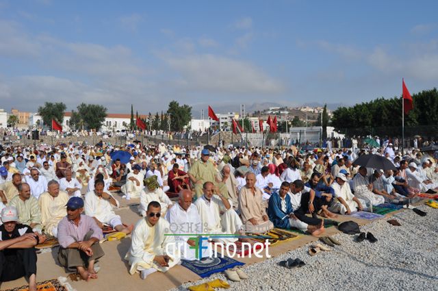 nador100