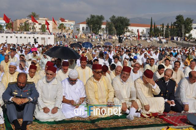 nador104
