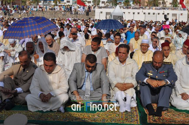 nador105