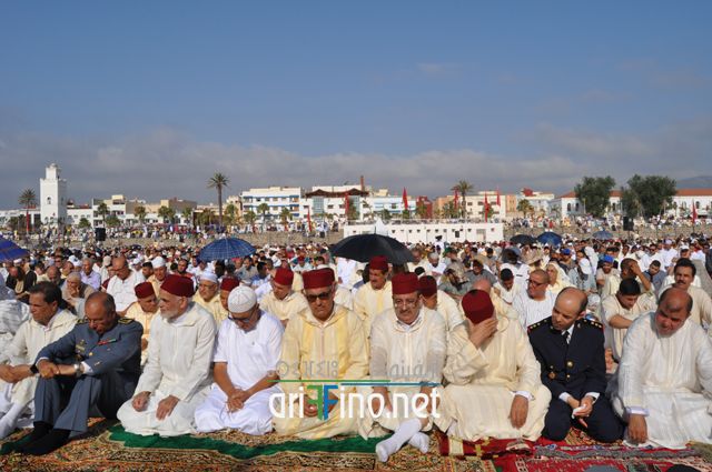 nador119