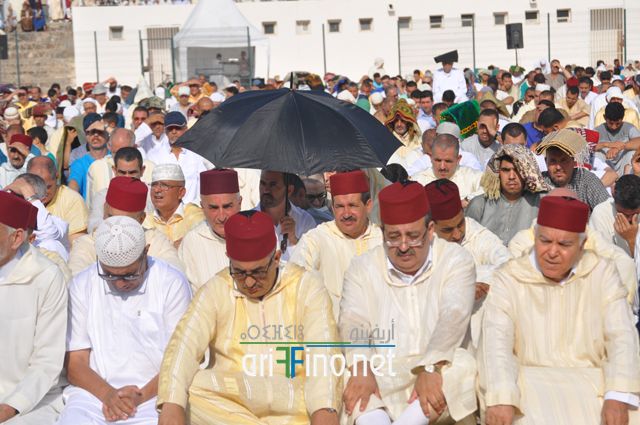 nador137