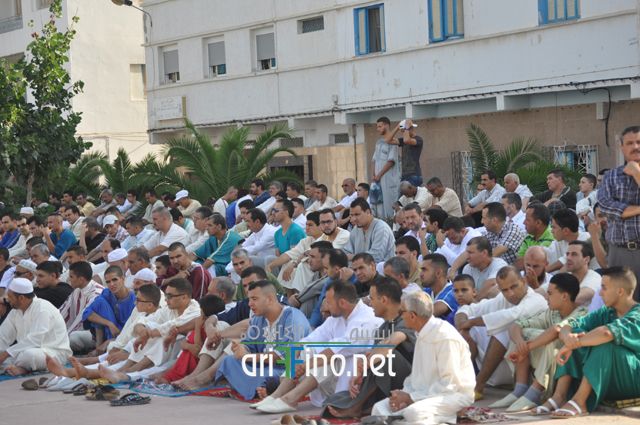 nador142