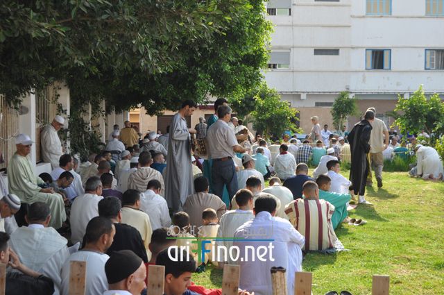 nador147