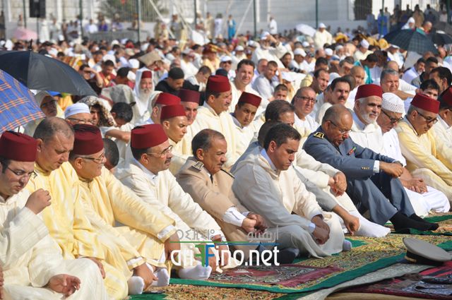 nador161