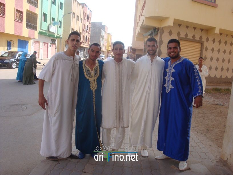 nador203