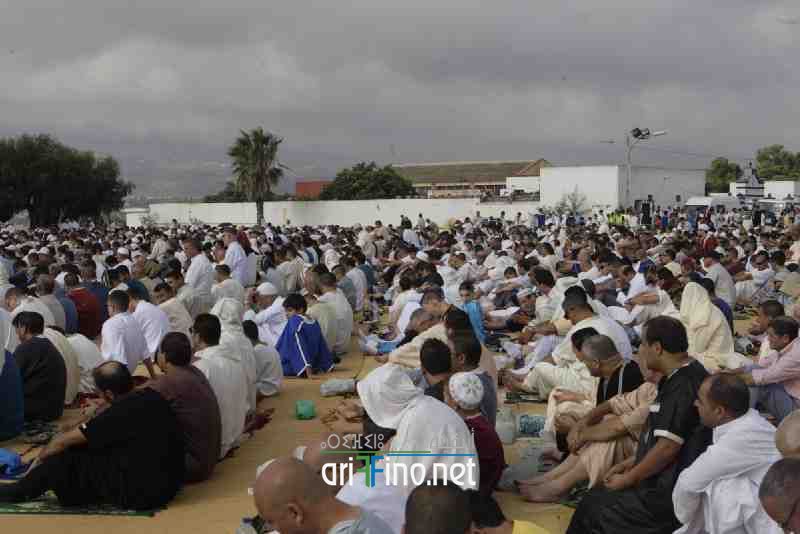 nador228