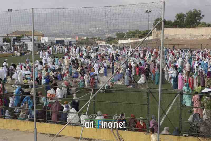 nador229