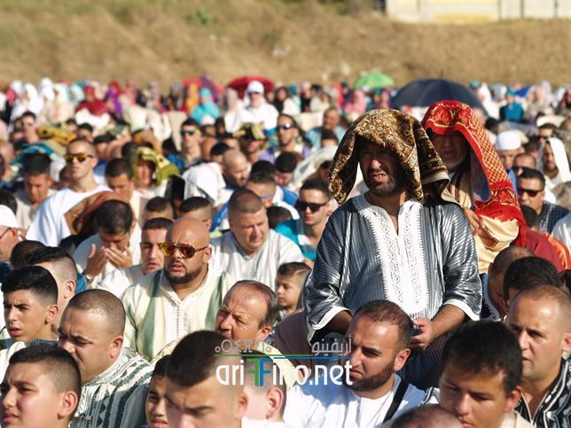 nador231