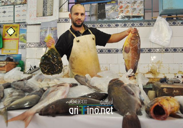 nador247