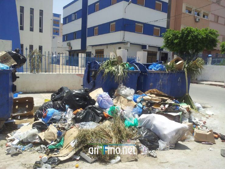 nador271