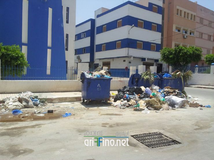 nador272