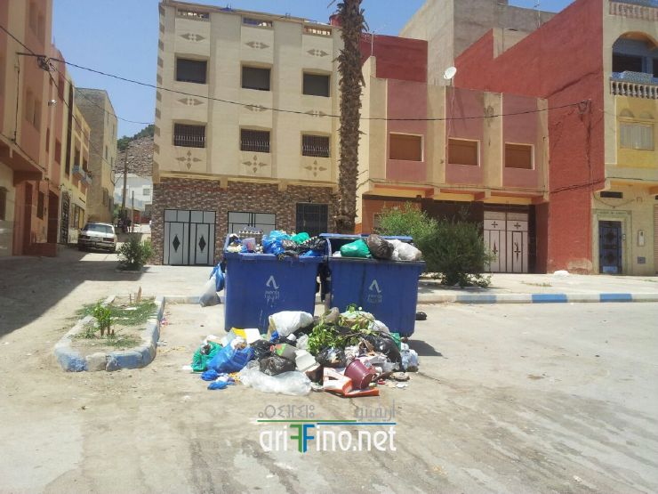 nador274