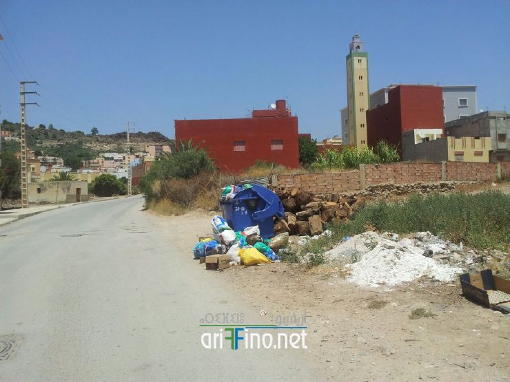 nador275