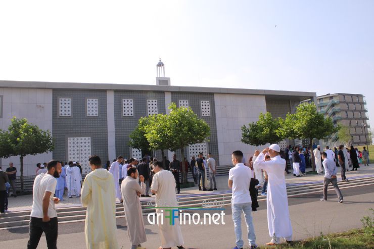 nador286