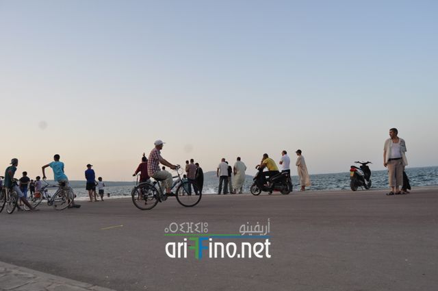 nador314