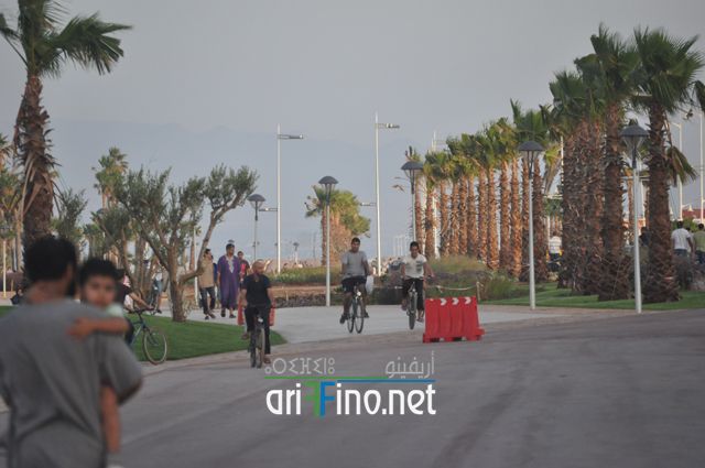 nador322
