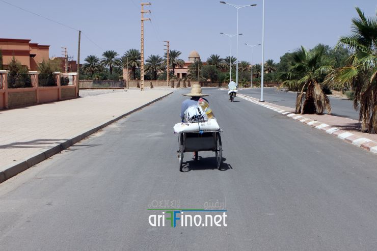 nador353