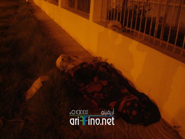 nador421