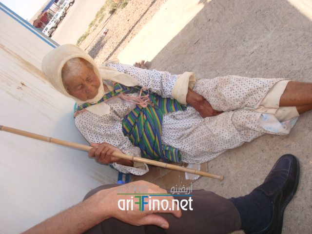 nador437