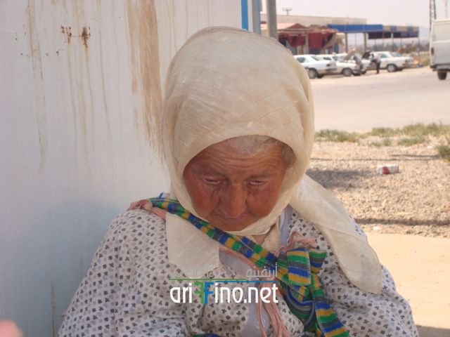 nador442