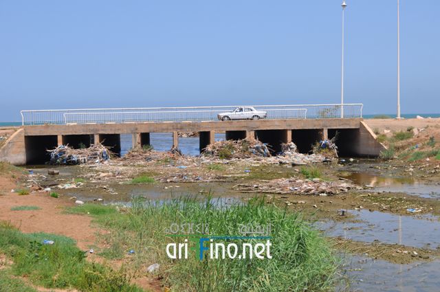 nador478