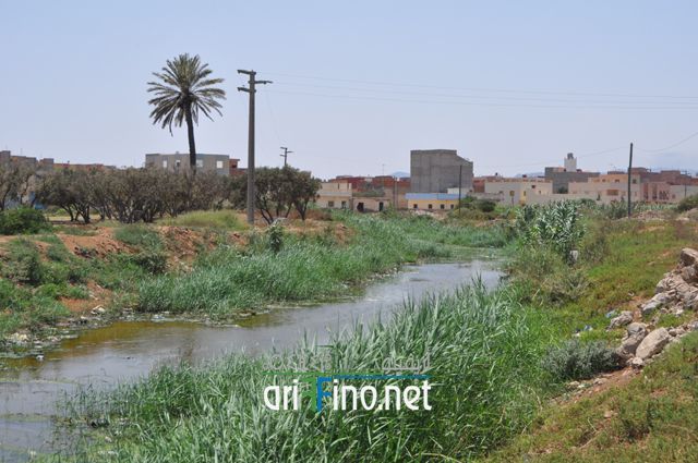 nador481