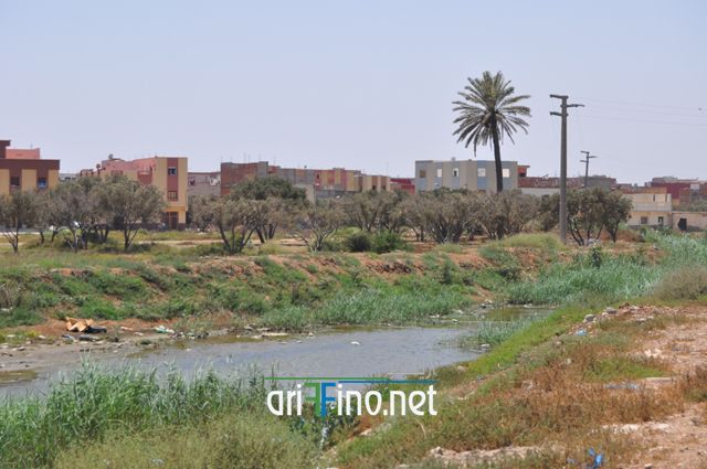 nador484