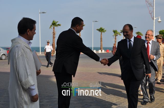 nador537
