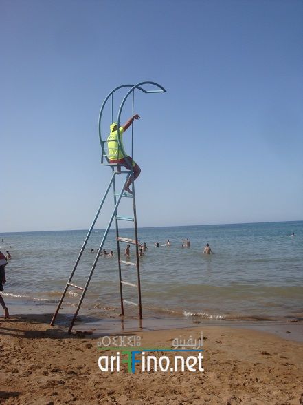 nador603