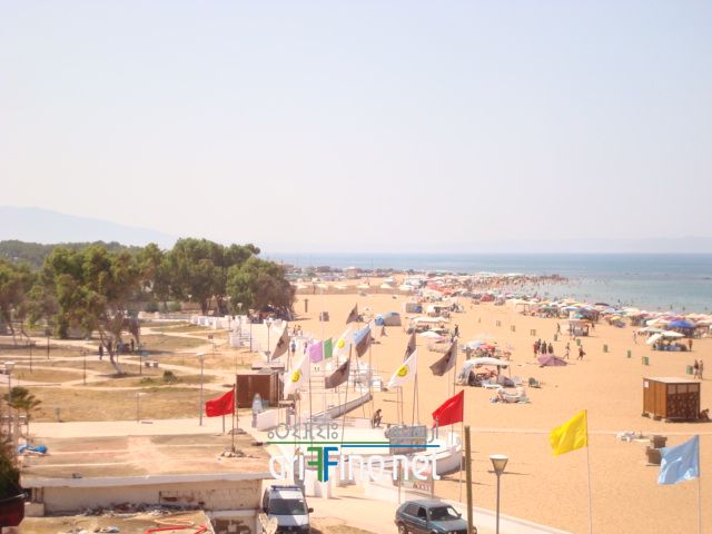 nador611